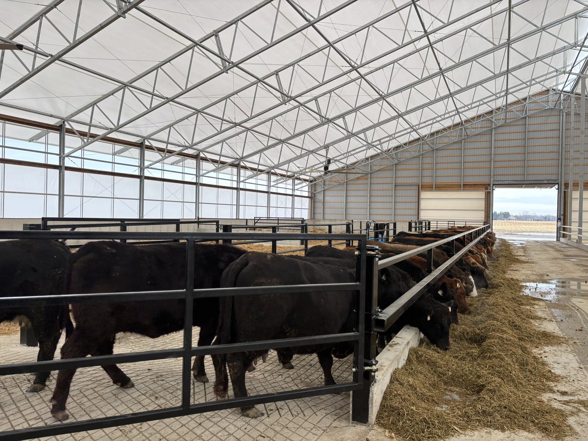 Josh Butler tweet media