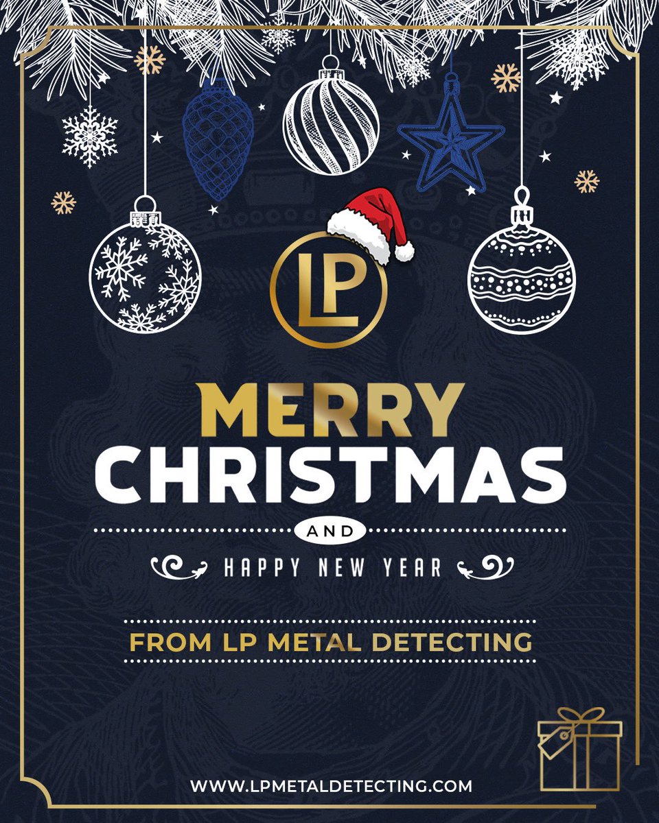 LP Metal Detecting tweet media