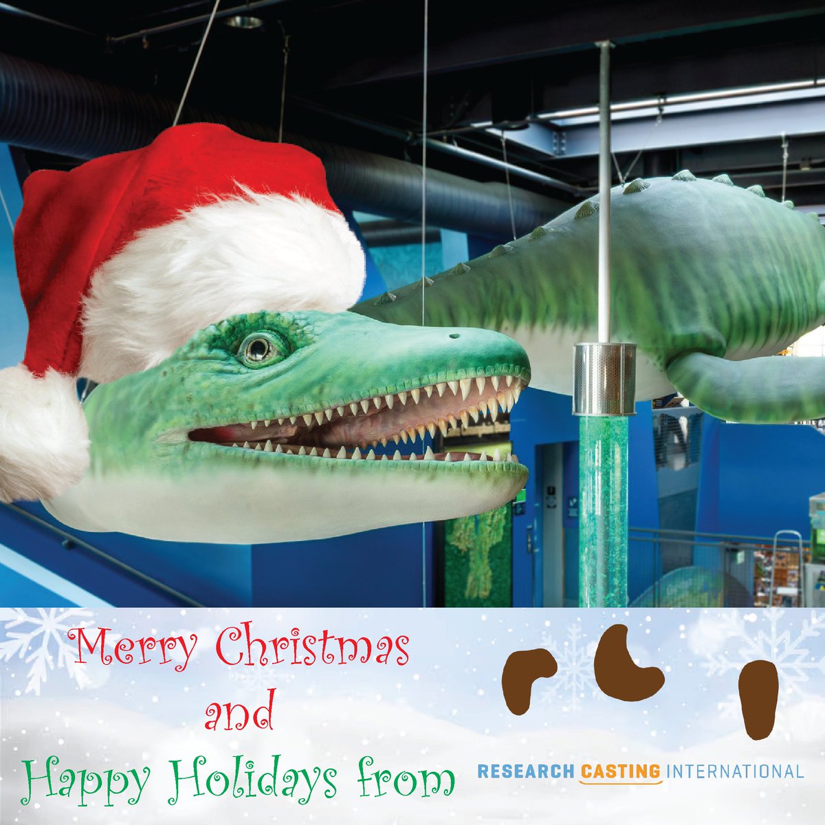 Research Casting International tweet media