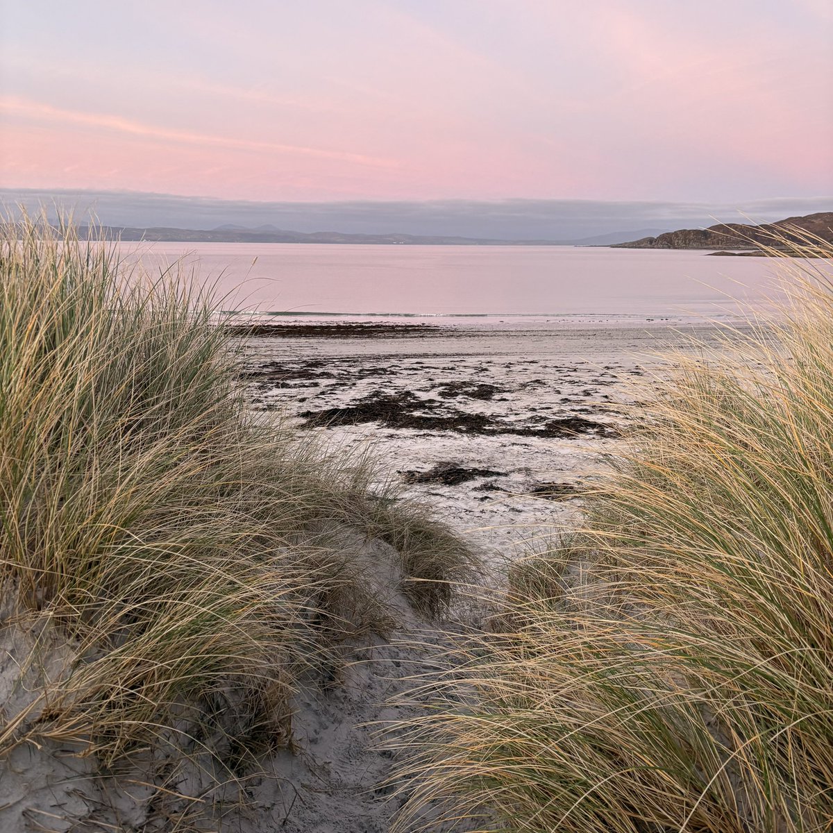 Keith Young tweet media