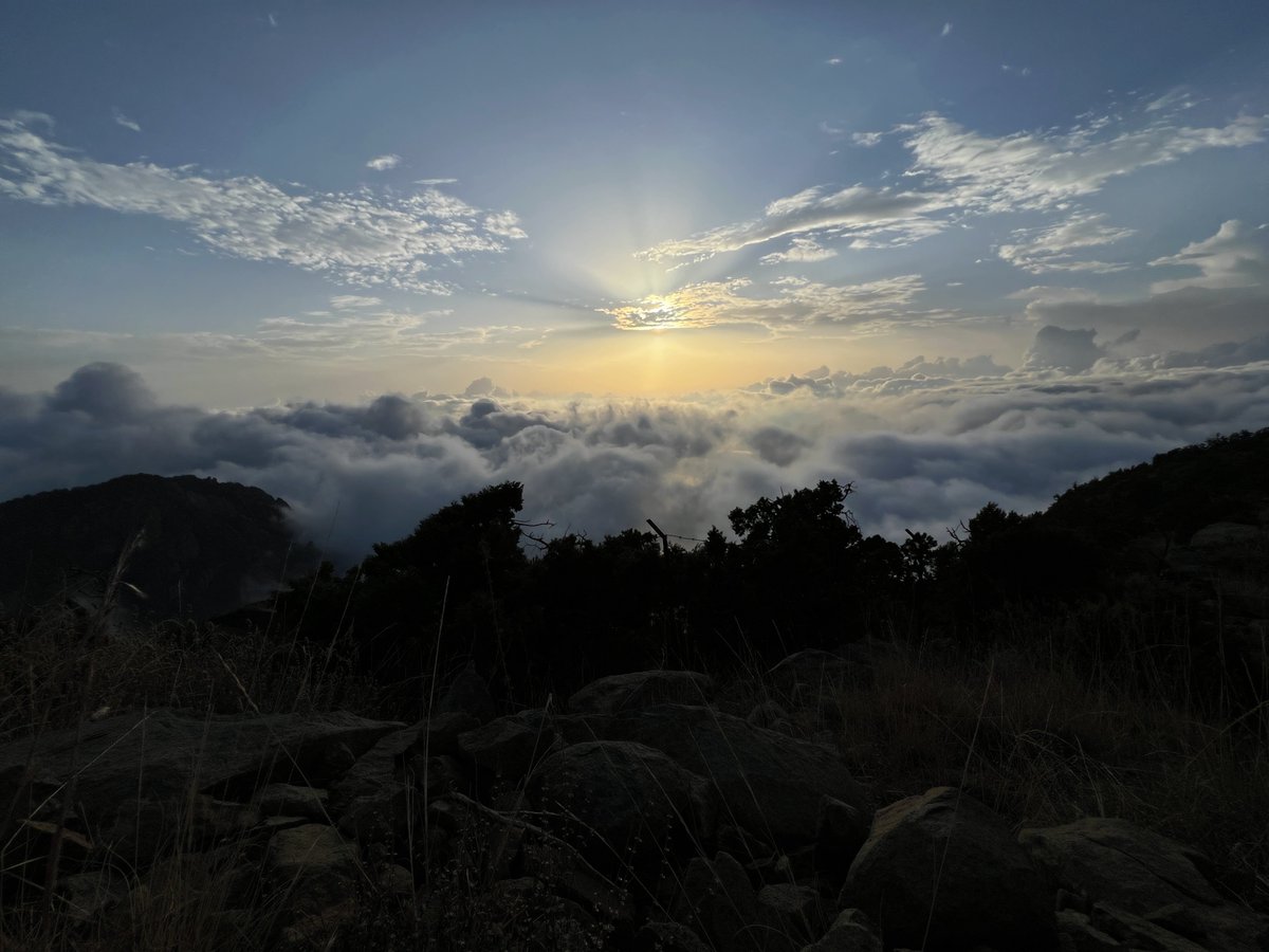 myfinalstop's tweet photo. الجنوب كان فيها اكثر مناظر مهيبه شفتها بحياتي https://t.co/U0GtCusxyf