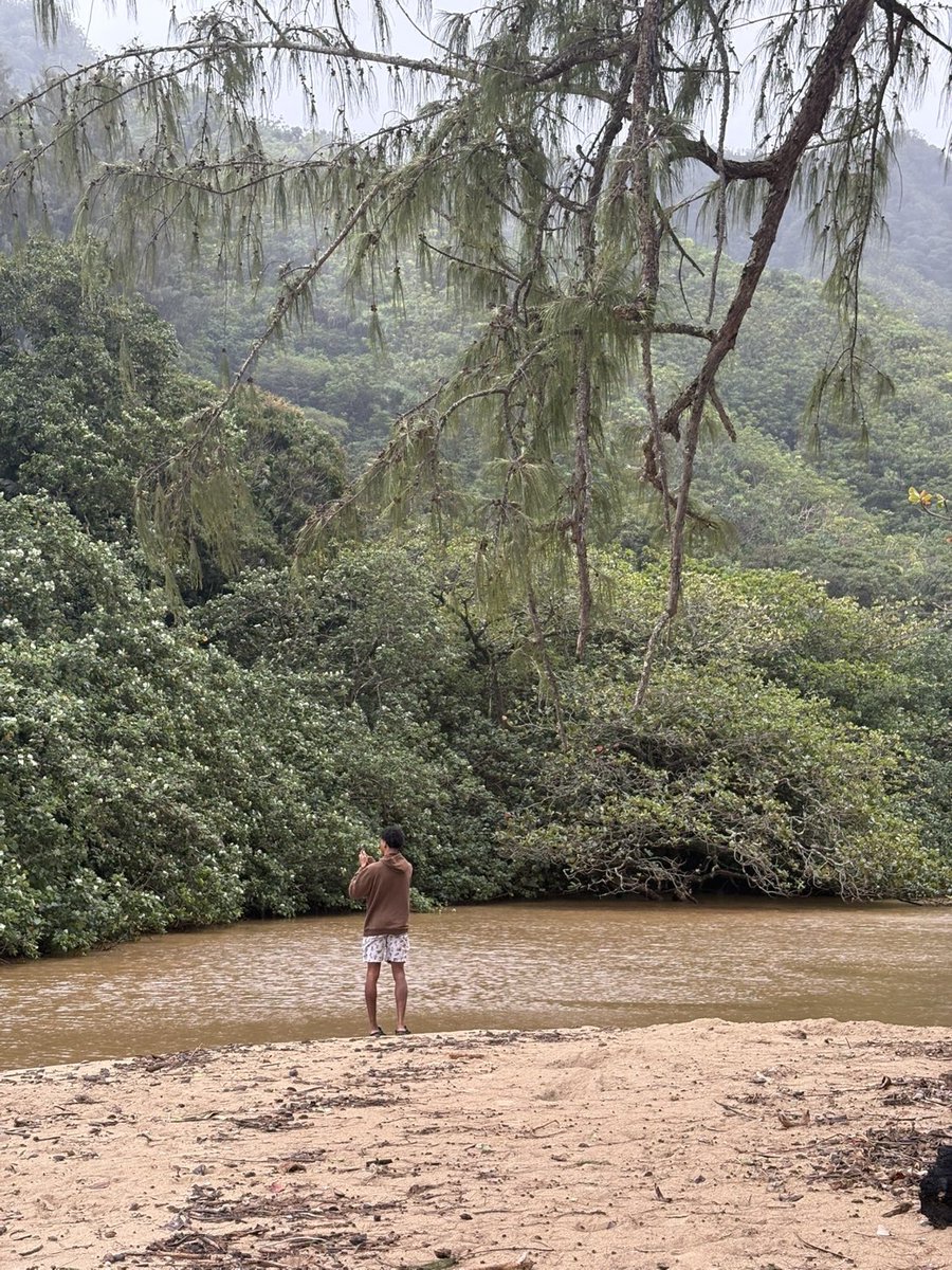 DEMARI J WASHINGTON 🐕 tweet media