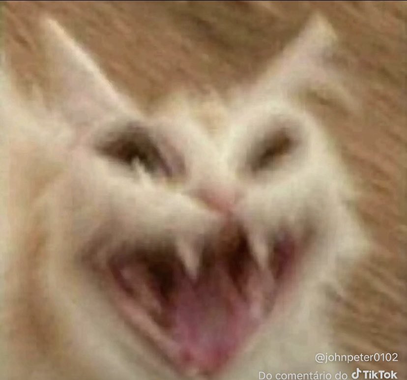 𝖙𝖍𝖆𝖒𝖎𝖗𝖞𝖘 tweet media