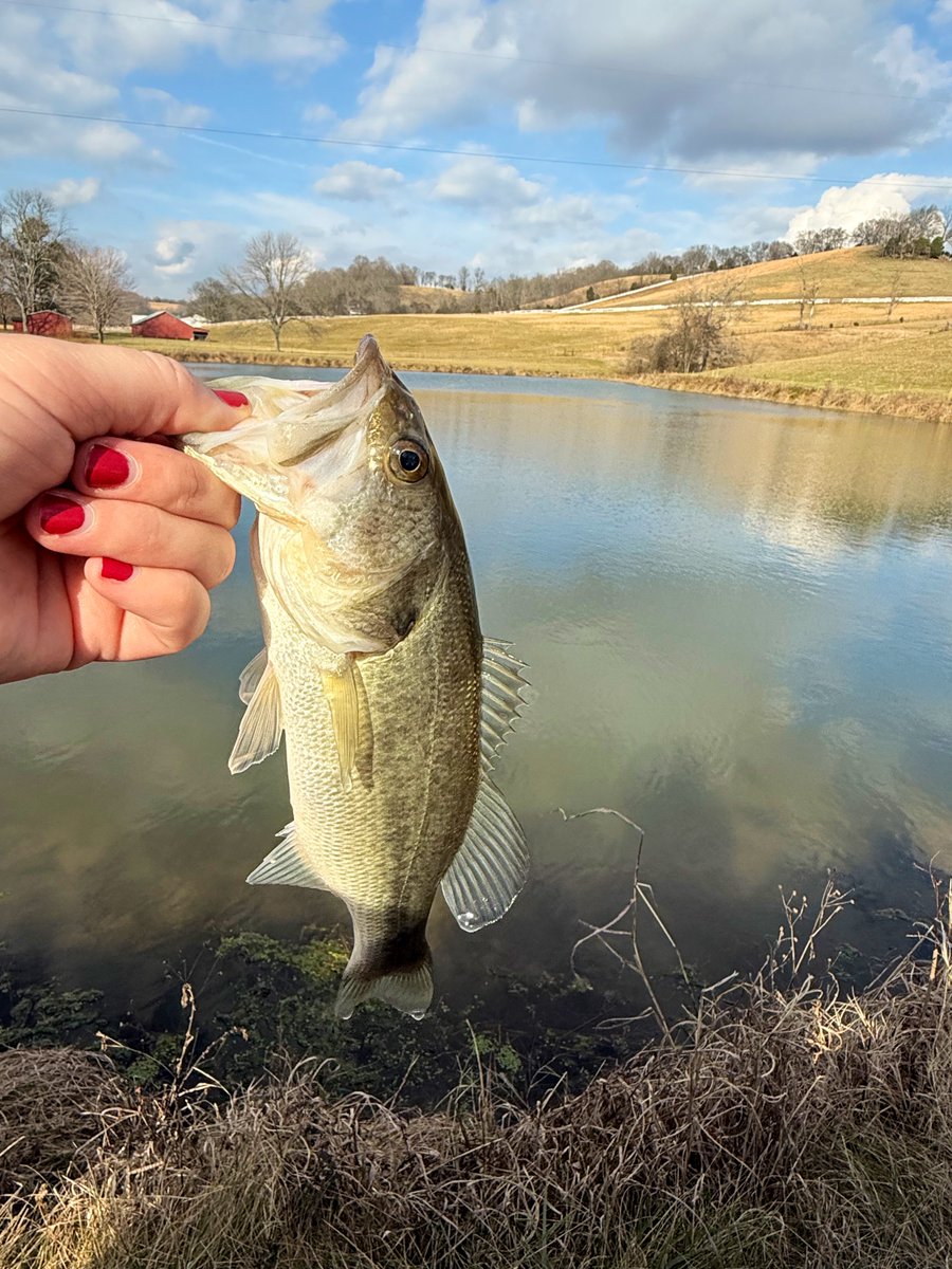 Rachel (@allthedogspleaz) / Posts / X