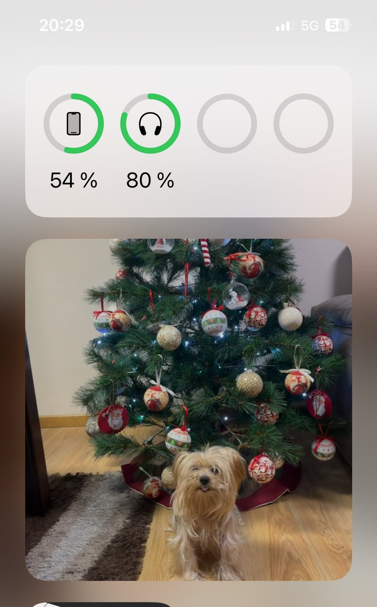 antiasm03's tweet photo. Mi móvil ha decidido recordar la mejor foto en el mejor día
Un besazo allá donde estés peque🤎❤️‍🩹🐶 https://t.co/6Kry0LPQtI