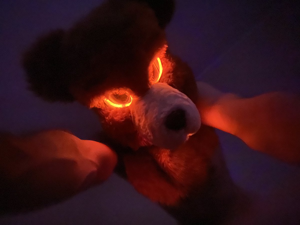 OdieBear tweet media
