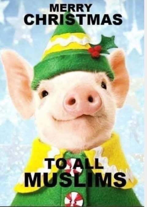 Mr. Star Spangled MAGA tweet media