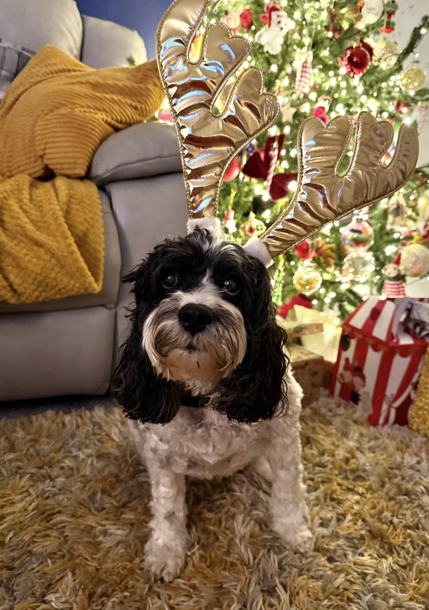 Rachy 🇬🇧 tweet media