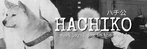 Hachiko the world's most loyal dog