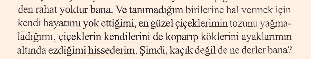 neslihan (@nslhnhtpglu) on Twitter photo 