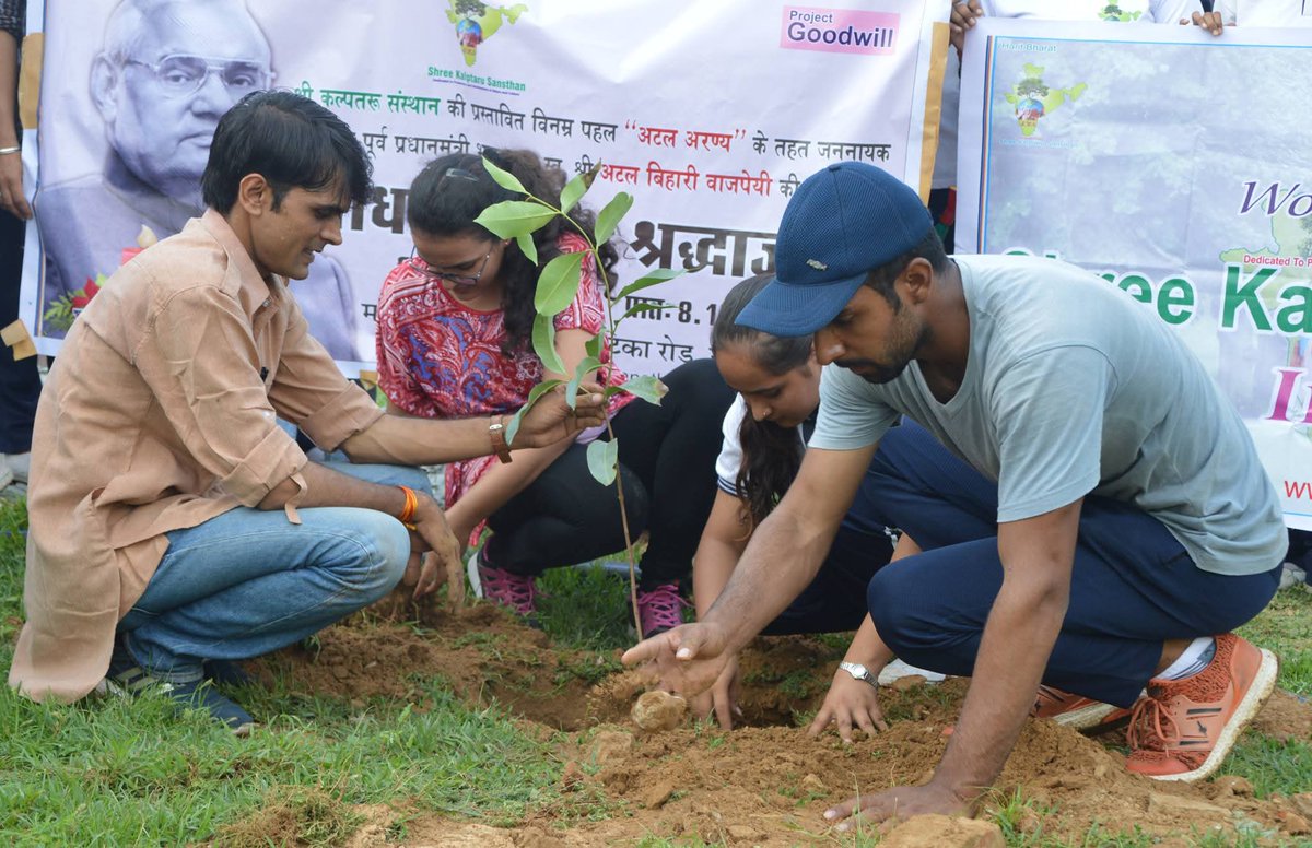 Tree Man Of India tweet media