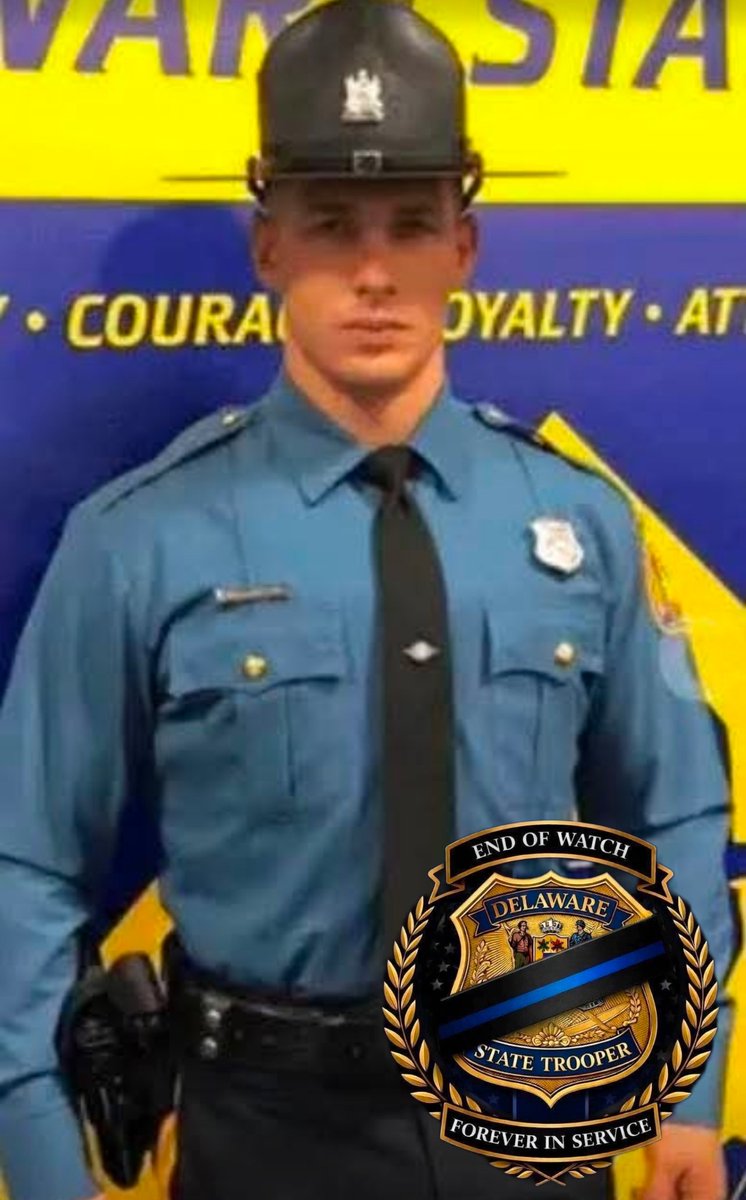 Mike Nik tweet media