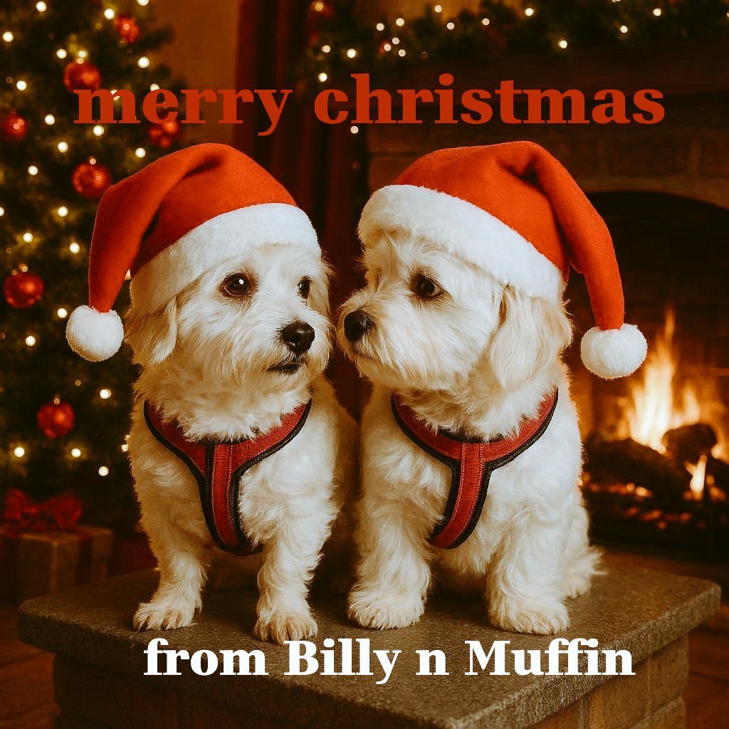 Merry Christmas to all who celebrate it 🥰 #love #peace #MerryChristmas