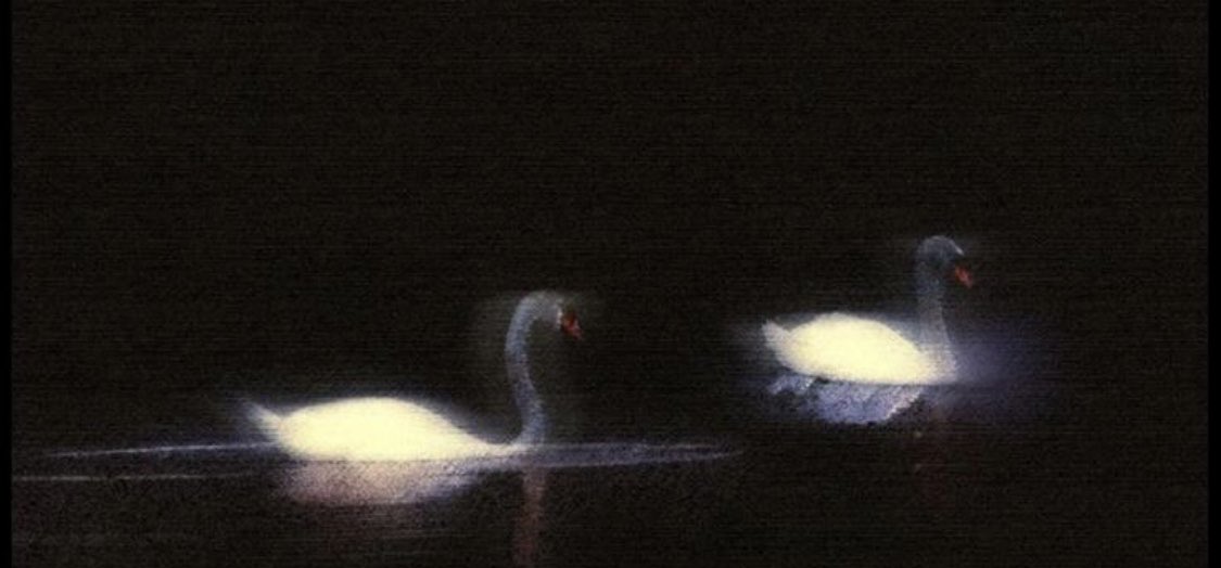 invertedly's tweet image. 