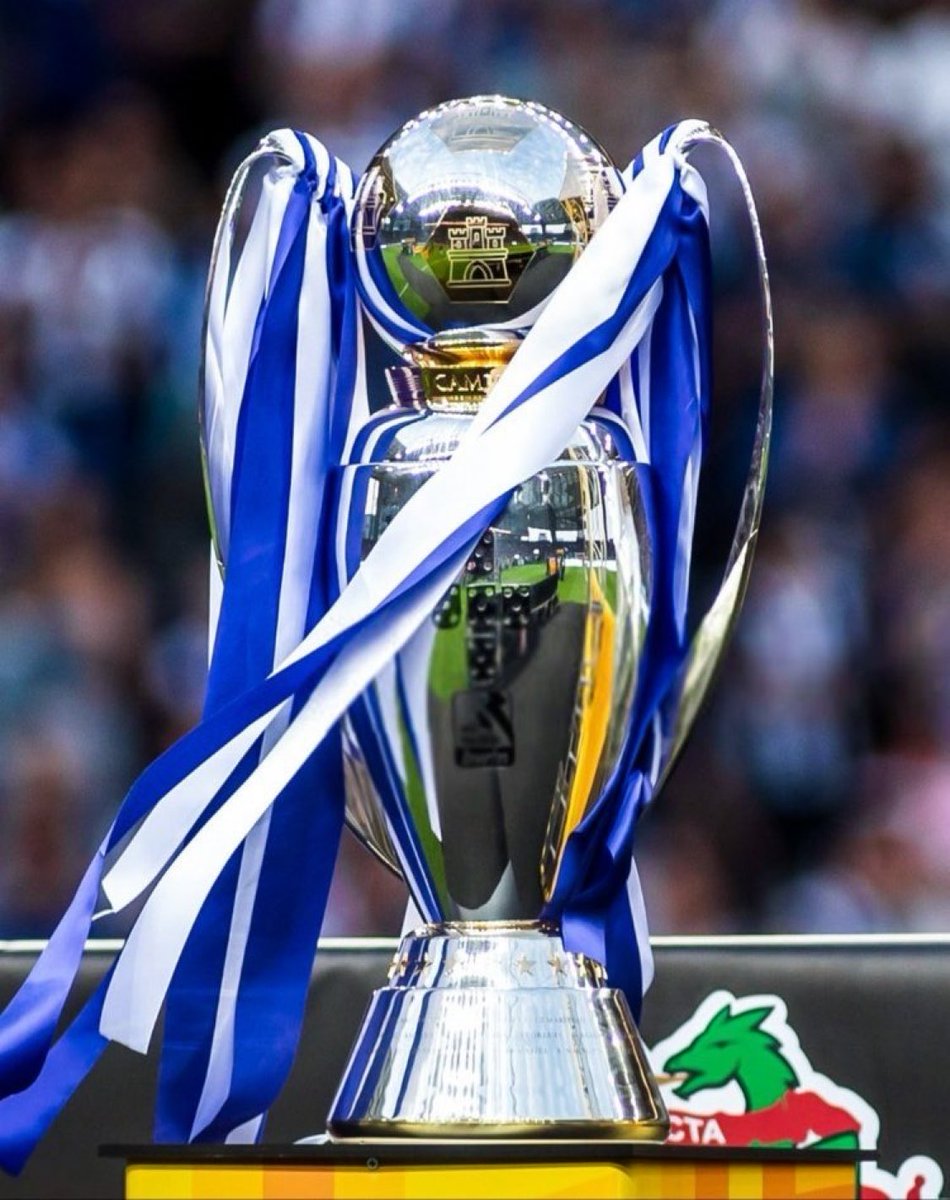 unidos_pelo_porto Campeão nacional 🏆 tweet media
