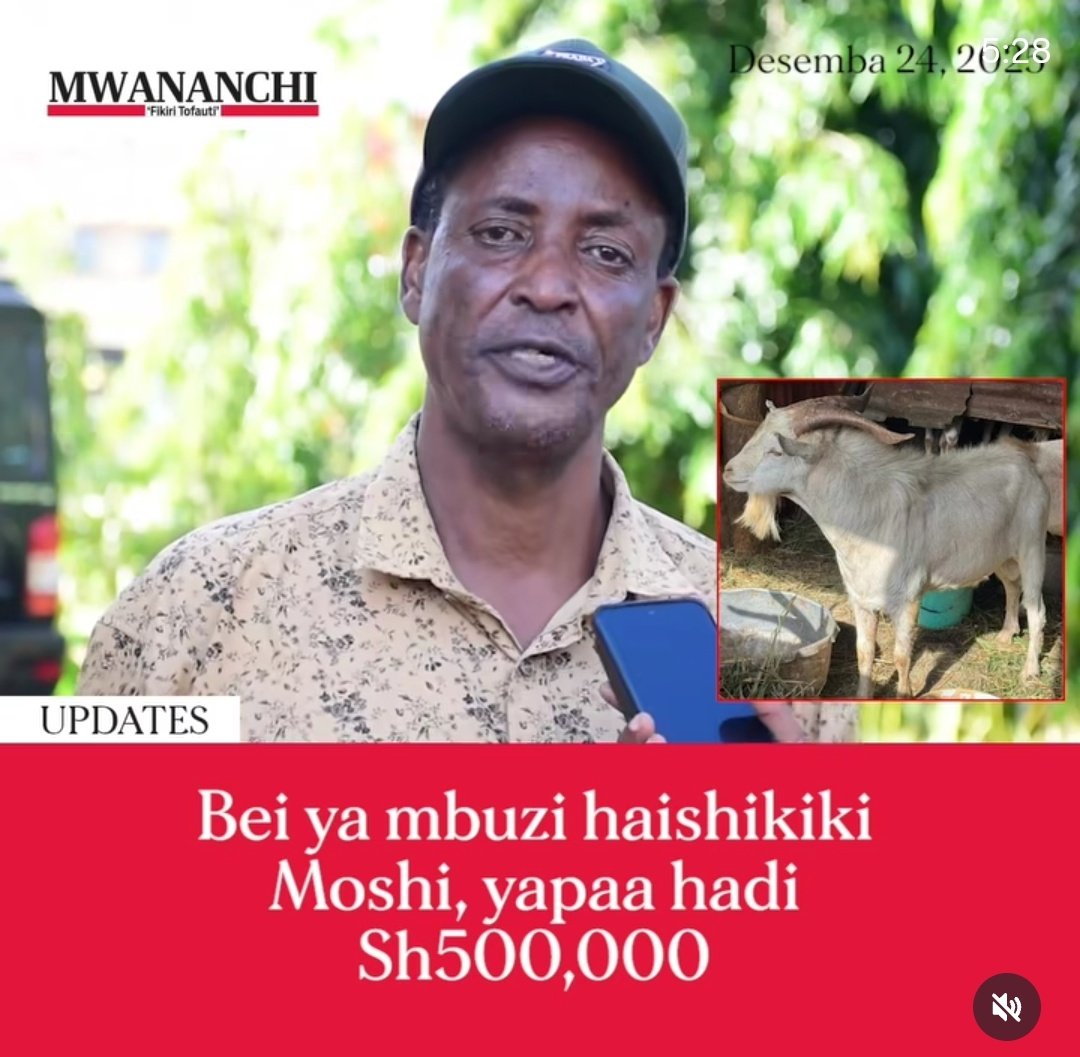 KAPETO🇹🇿 tweet media
