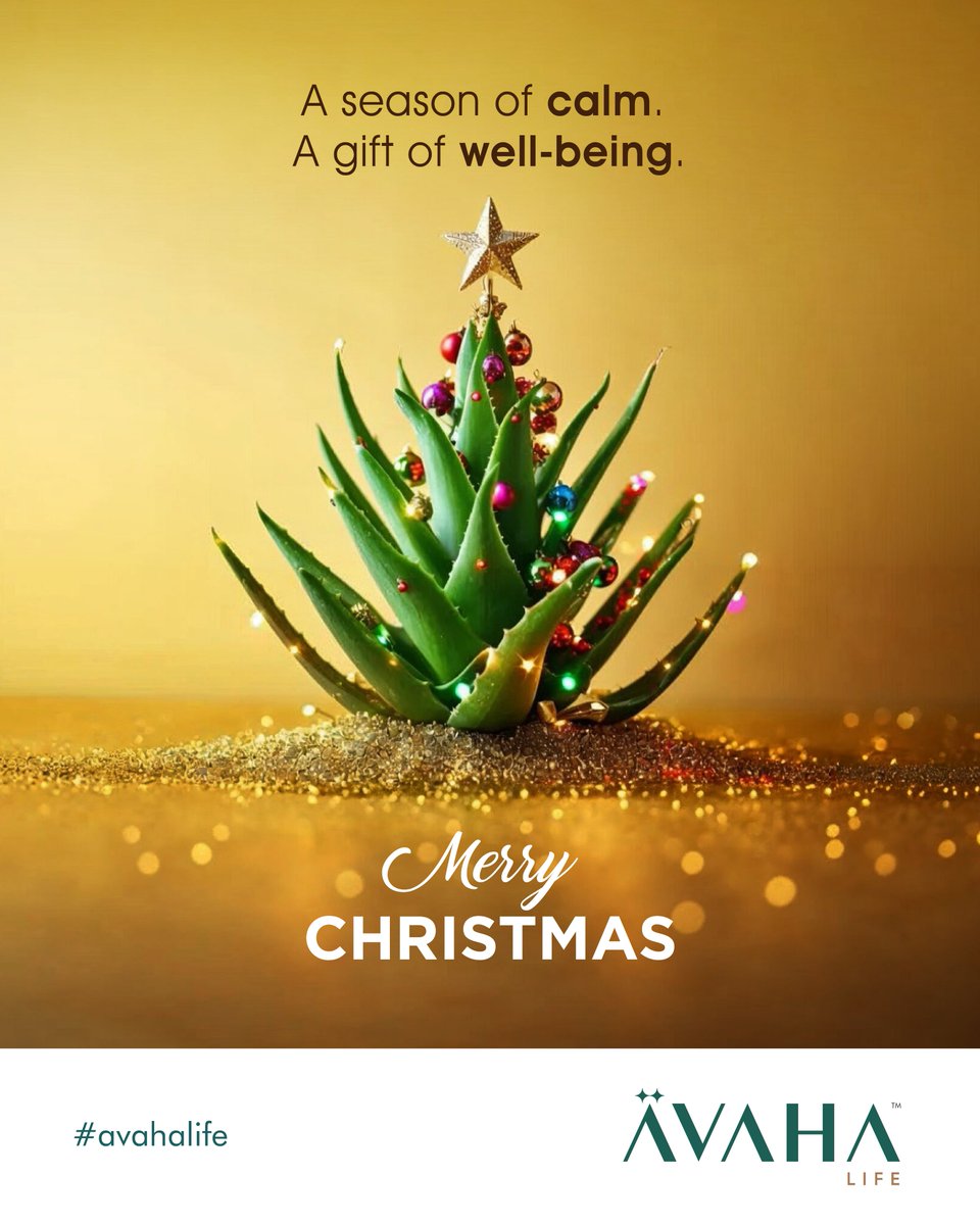 avahalife's tweet photo. This festive season, pause, breathe, and embrace inner balance. ✨
May Christmas bring calm moments, mindful living, and the true gift of well-being to your life. 🌿🤍

Wishing you peace, health, and harmony —
Merry Christmas from AVAHA. 🎄

🌐 https://t.co/dDwK0jKYoo

#AVAHA https://t.co/Wjf2glXh3k