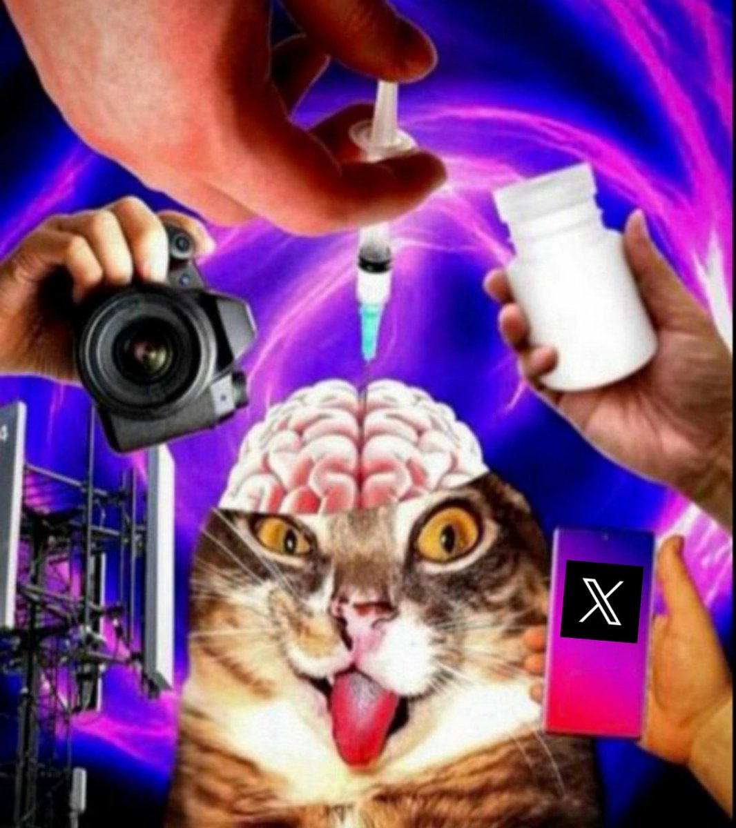 entro twt 
tiro un tuit q a nadie le importa 
m aburro
salgo de twt 
otra vez entro a twt