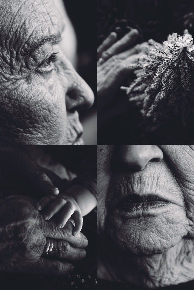 🎄 El Nadal és temps de retrobaments, de comunitat i de fer poble. 

✨ Uns dies per aturar-nos, compartir i cuidar els petits gestos que ens uneixen. 

🎁 Des de l’Ajuntament de Prats de Lluçanès us desitgem unes molt bones festes i molta salut per a tothom!

🎉 Bon Nadal!