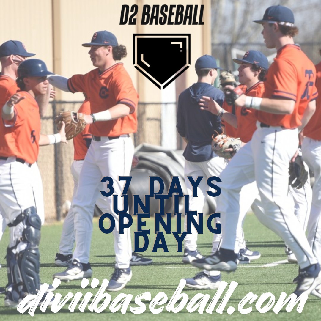 D2 Baseball tweet media