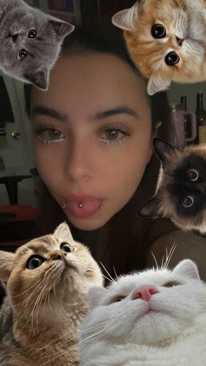 marz_xc's tweet photo. meow https://t.co/RlfaNLST9S