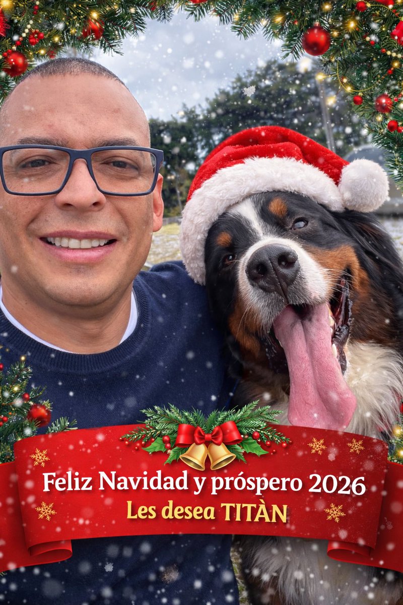 🎄 feliz vida !!!