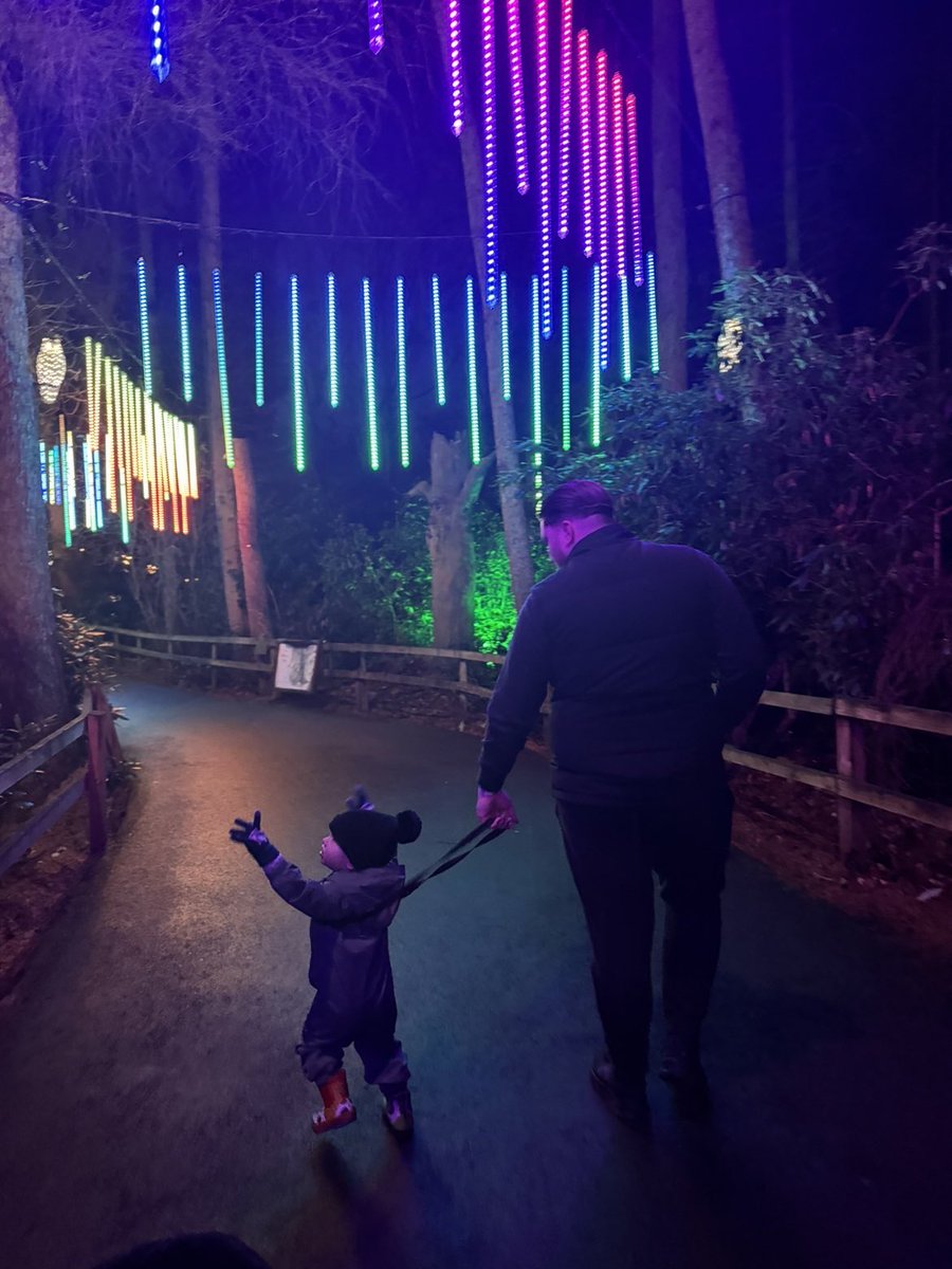 P A T T S tweet media