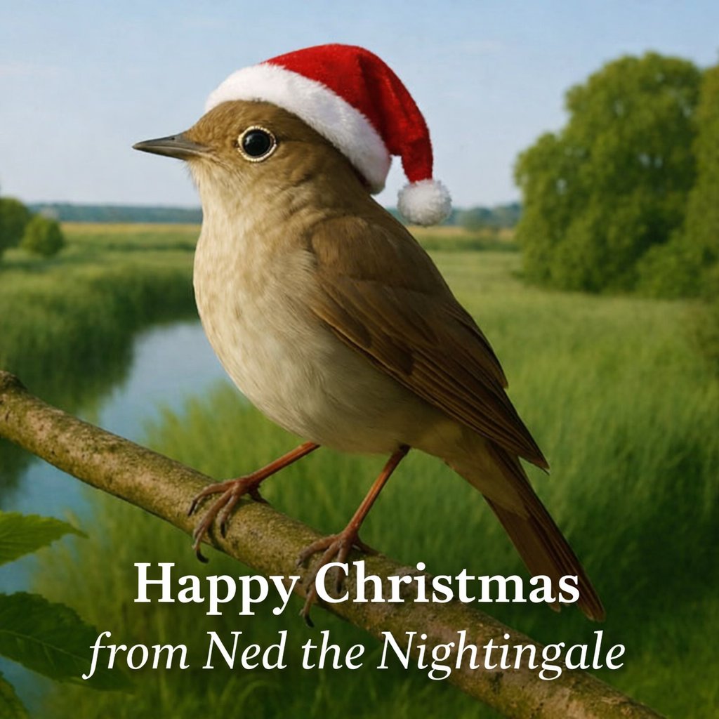 NedNightingale's tweet photo. Happy Christmas from Ned the Nightingale!

#HooPeninsula #Kent #NedTheNightingale https://t.co/UqrYUbGP6O