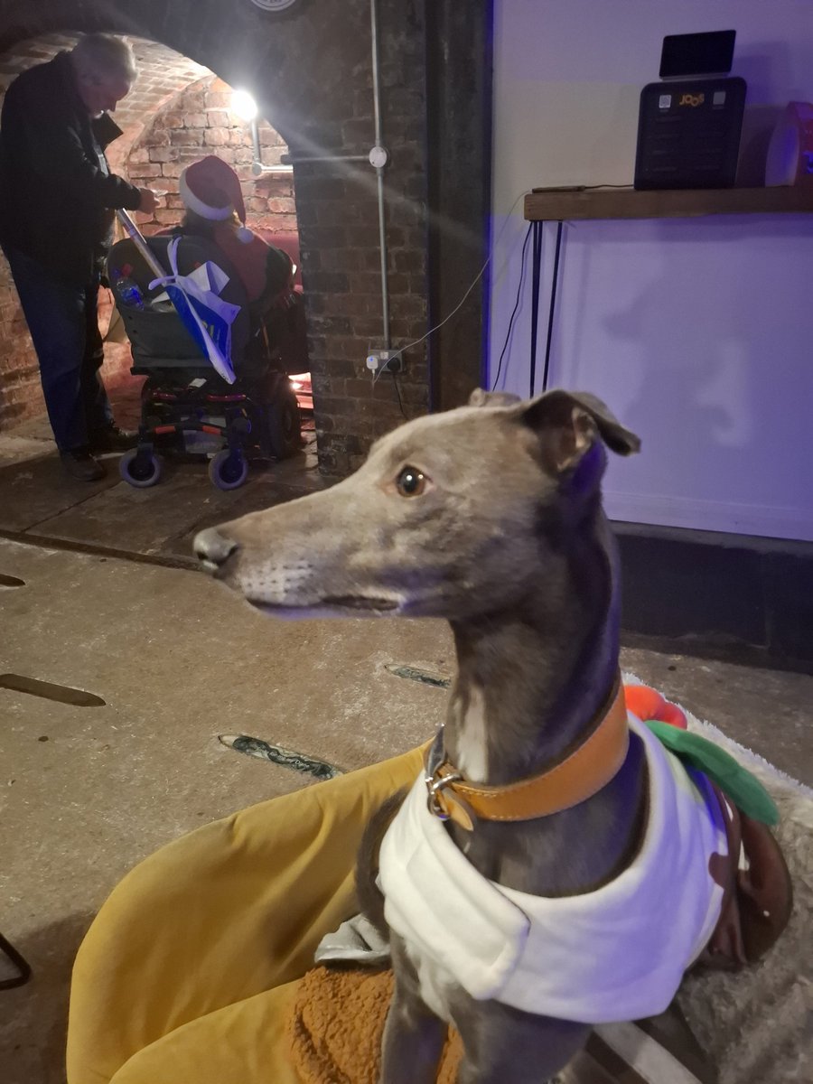 Glenn Writer ☕ tweet media