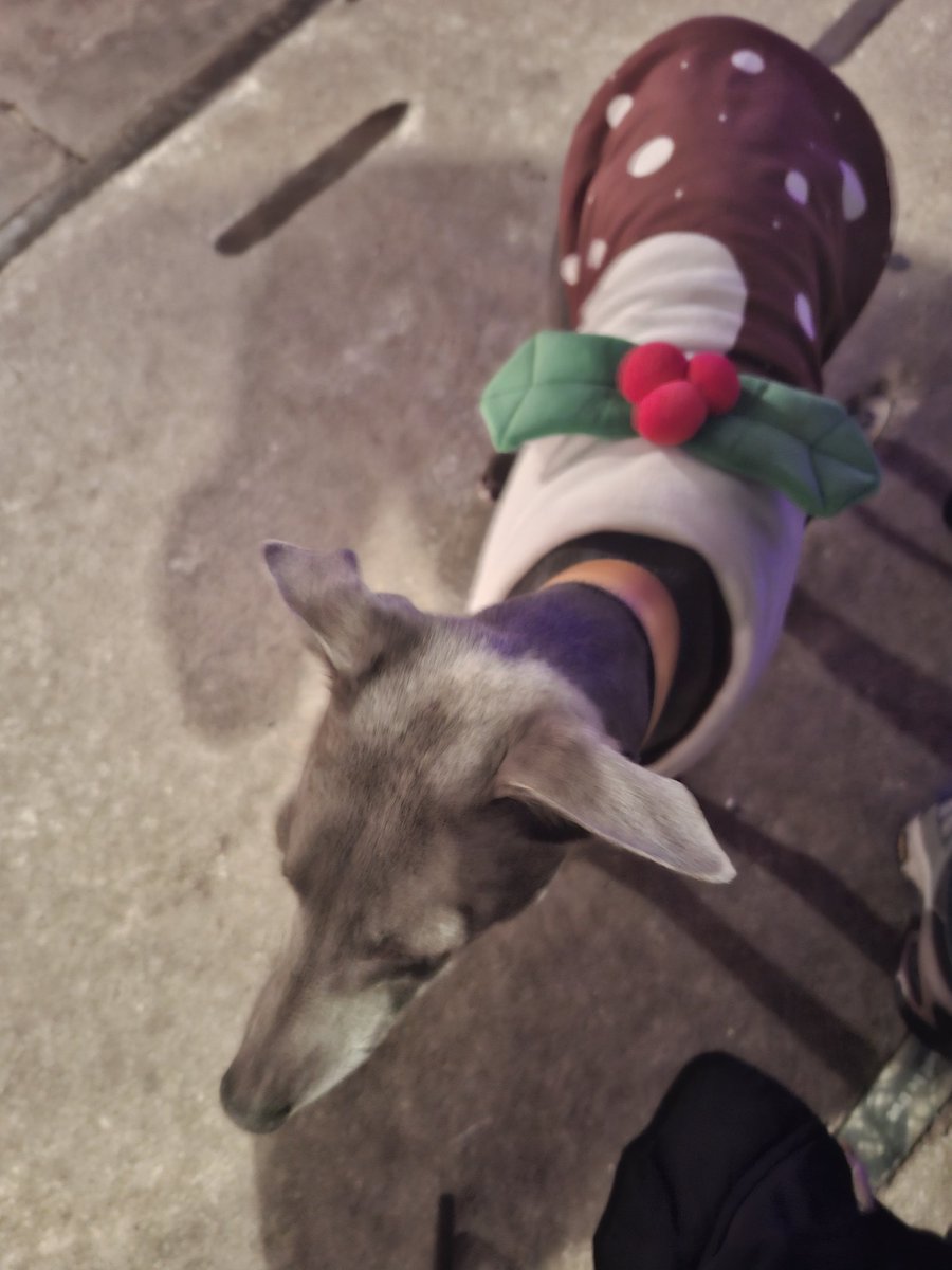 Glenn Writer ☕ tweet media