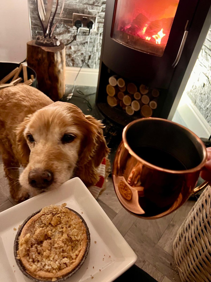 SpanielsSuper's tweet photo. Can I have a mince pie & some mulled wine please?
#PleaseMum #ItsChristmas https://t.co/e9hkZLhYdc