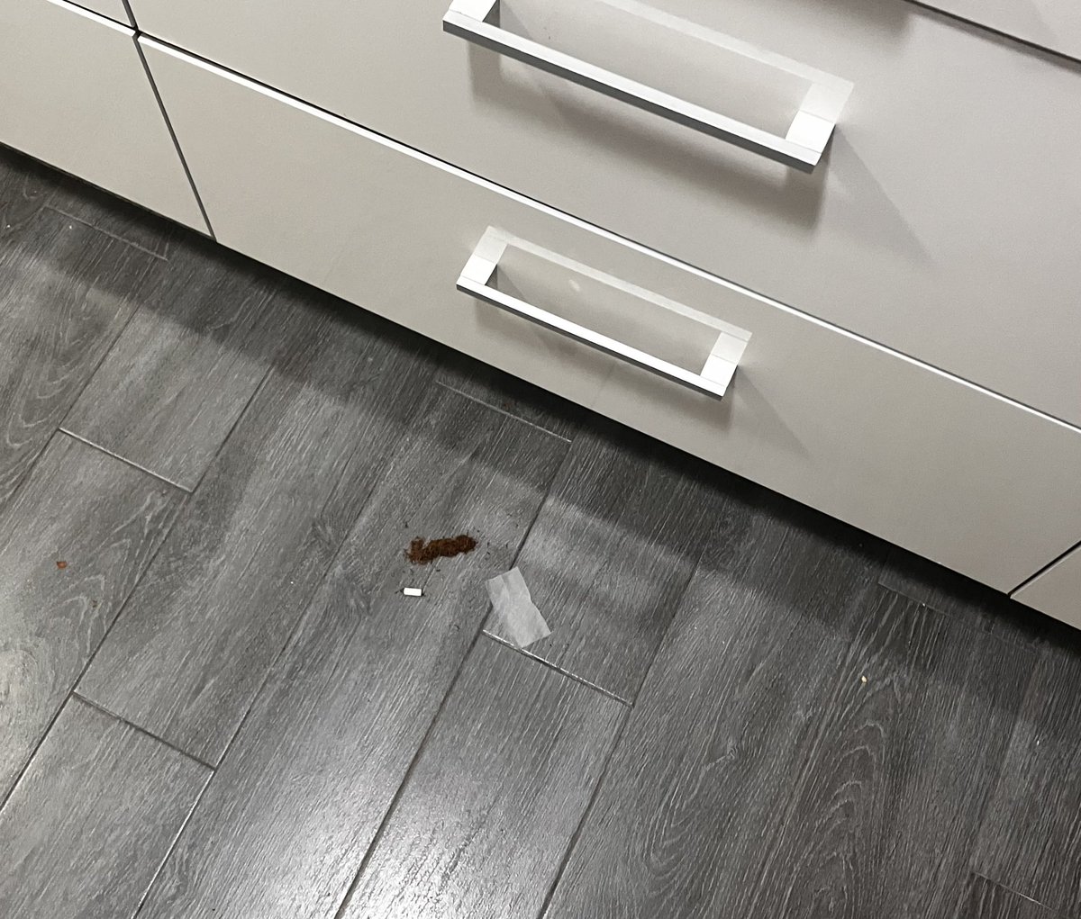 nos acabamos de quedar sin cena