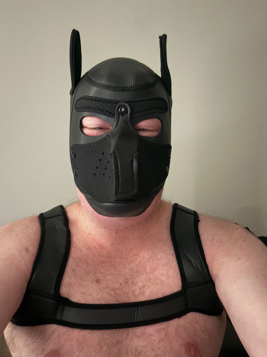 SATxABDL's tweet photo. Got a pup hood for the rave on Friday night. Super excited for my first fetish rave. Gonna have to get used to wearing it. It’s a bit tight, but not unexpected. Full outfit later. https://t.co/AZnoTeDMVH