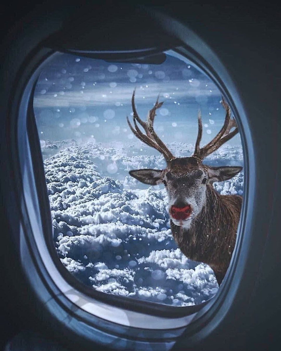 ❤️ 🎵 FunkyK 🎵 ❤️ tweet media