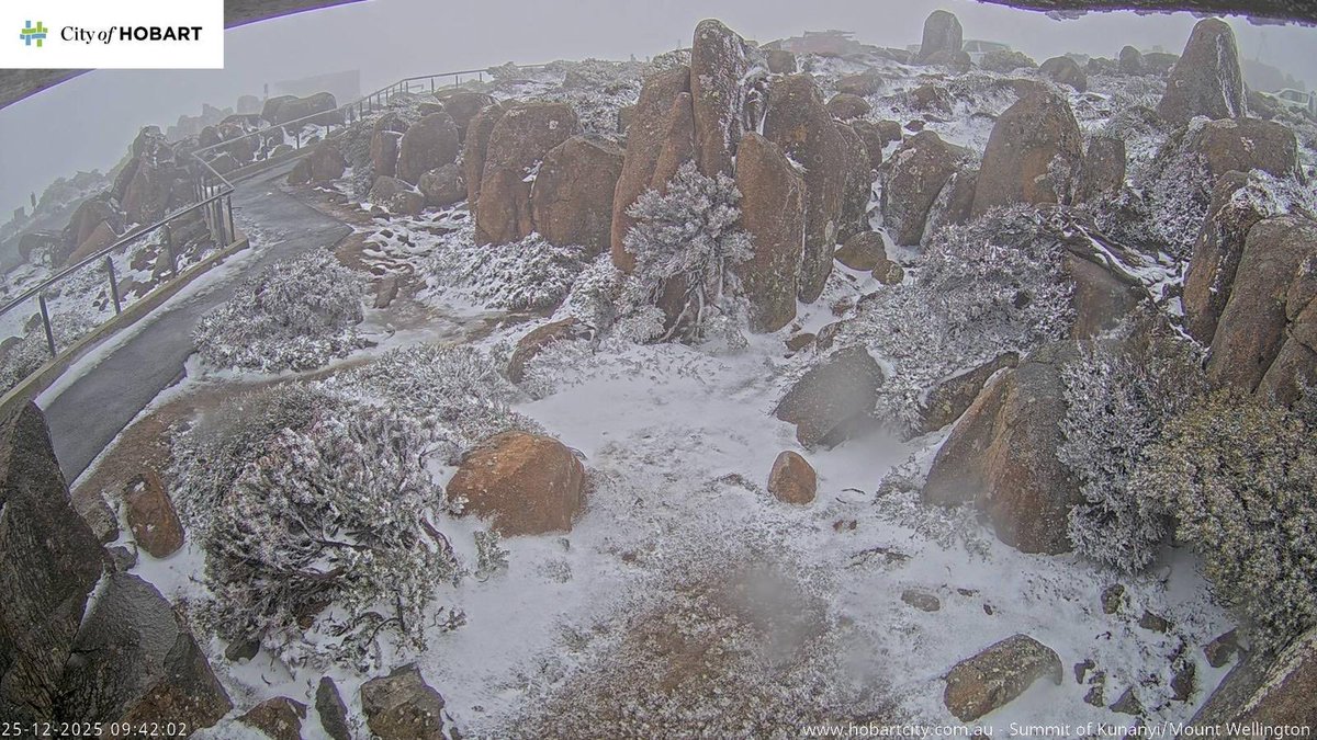 Dave Flower tweet media