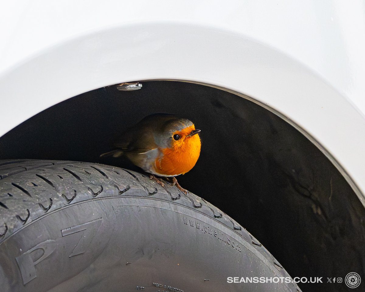 SeansShots tweet media