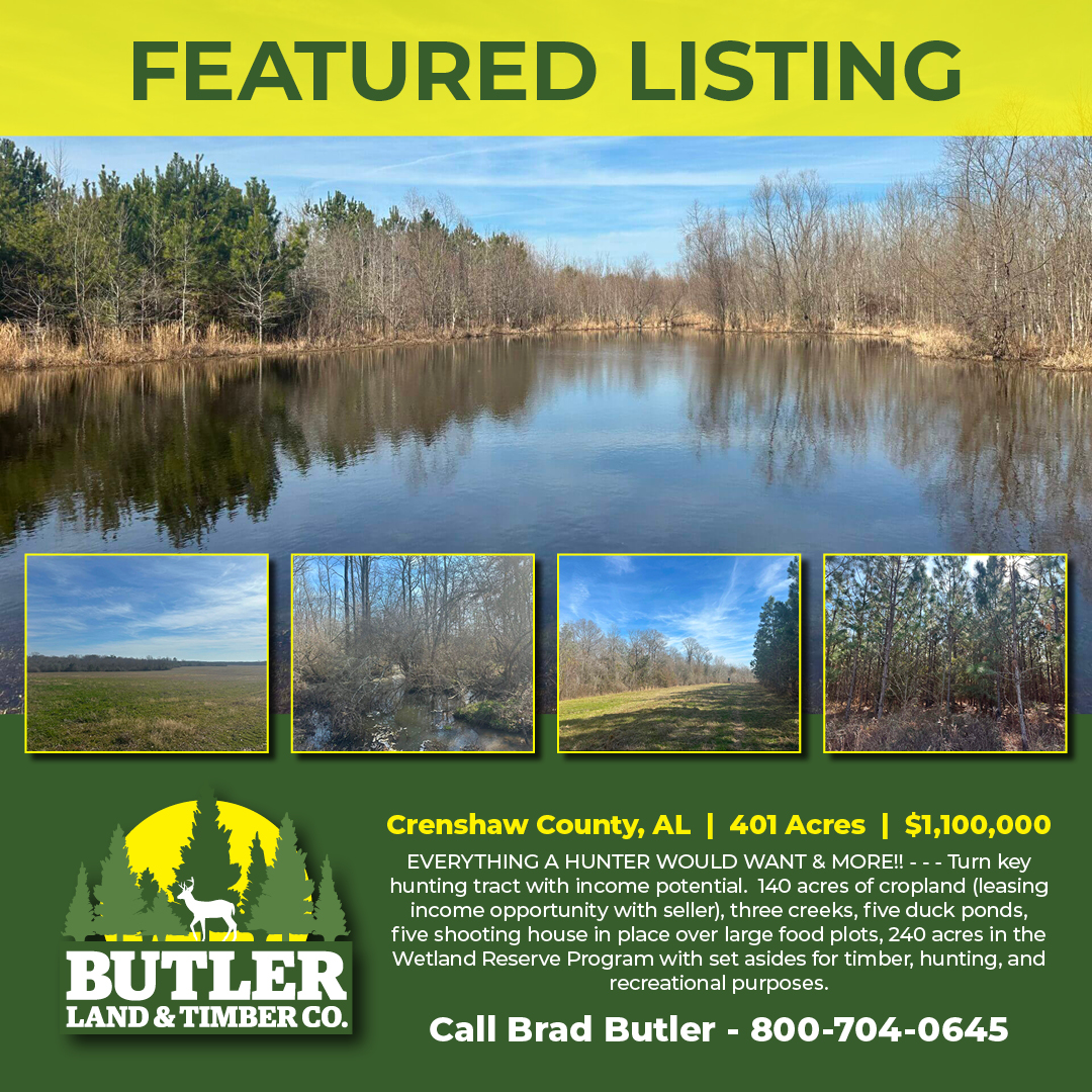 butlerland's tweet image. Turnkey hunting camp with creeks, shooting houses, food plots and so much more!

butlerlandandtimber.com/properties/sik…

 #CountryLife #CreekFront #FoodPlots #HuntingProperty #TimberLand #OutdoorLiving #LandForSale #AlabamaLand #HuntingCamp