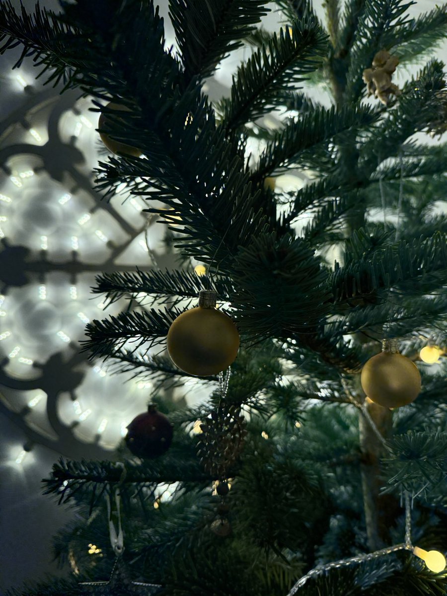 monopoli1973's tweet photo. Wishing you a beautiful and peaceful Christmas. May the holidays bring warmth, good moments, and renewed energy for the year ahead.

Merry Christmas 🎄 https://t.co/K0UnQC1CDc