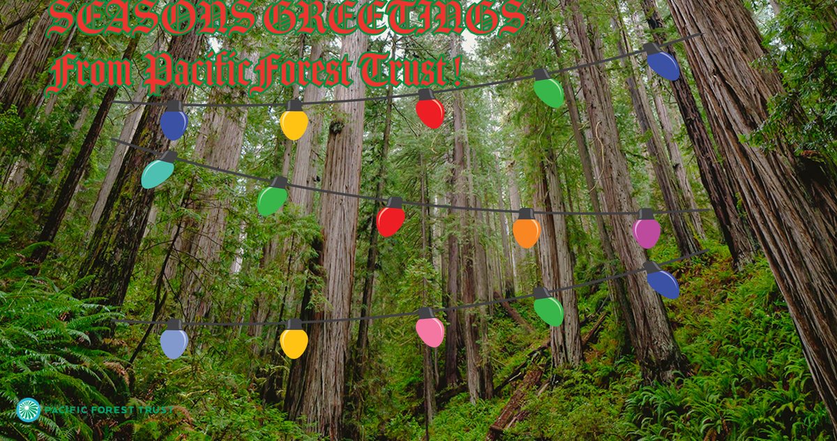 Pacific Forest Trust tweet media