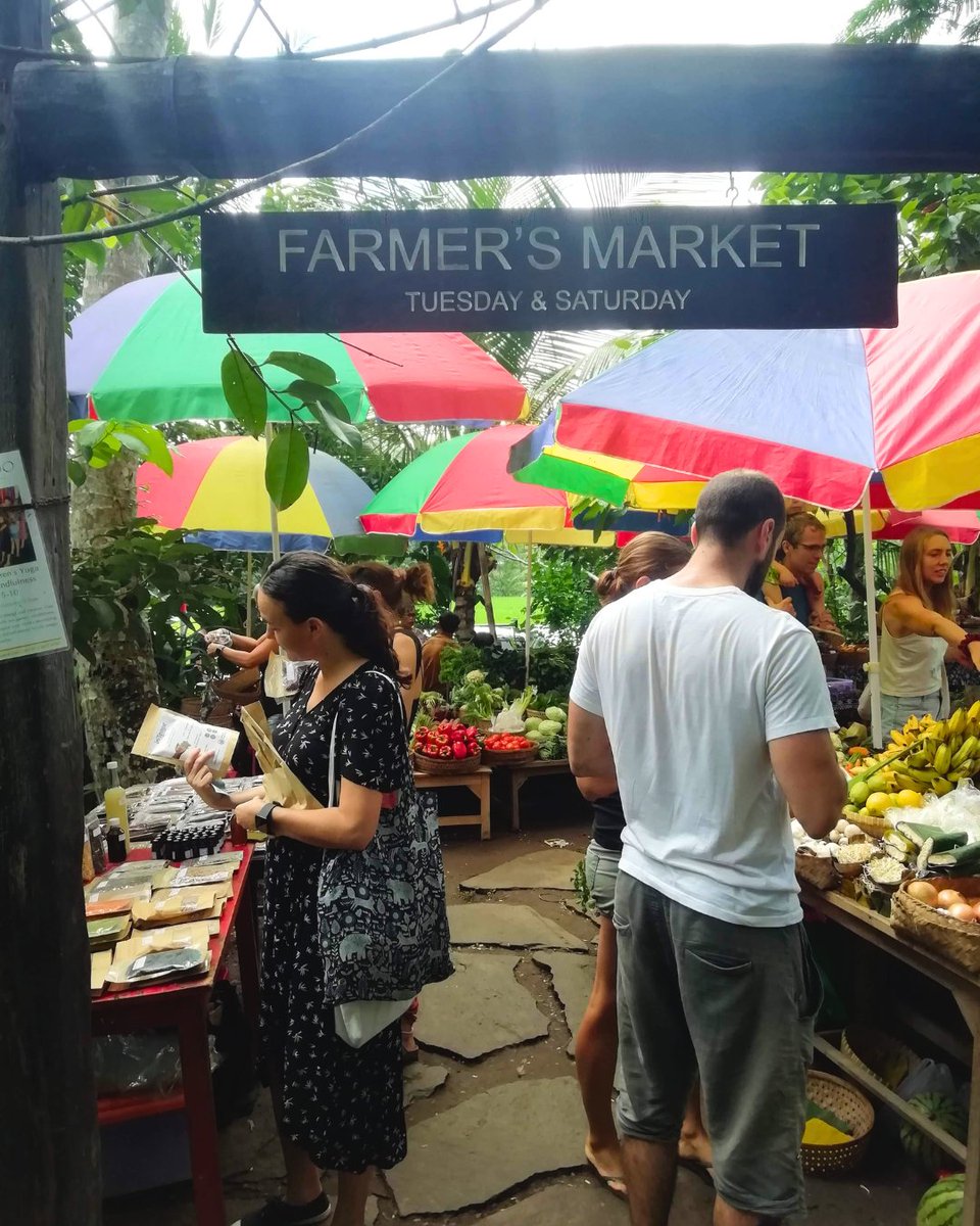 Travel_For_Food's tweet photo. There is no better way to get to know a new place than waking up early for the local Farmer's Market. From the brightest dragon fruit to fresh snakeskin fruit and crisp veggies, this is where the real food magic happens.
.
.
.
.
.
#TravelForFoodHub #farmersmarket #eatlocal #Food https://t.co/yPIKLimrzc
