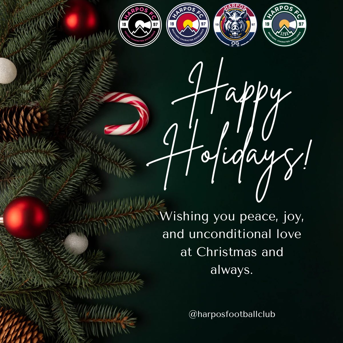 Harpos FC tweet media