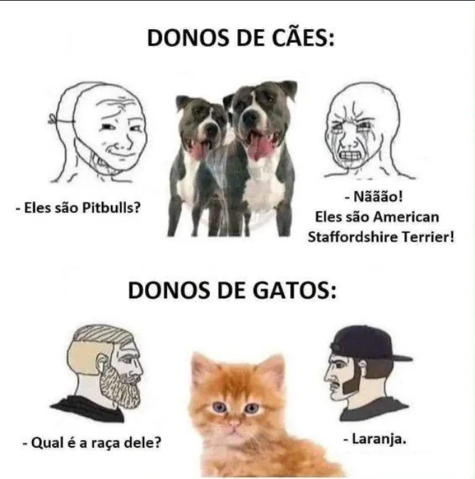 Memoji 😡 tweet media