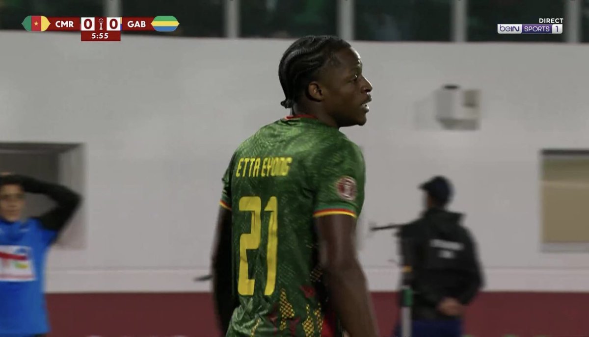 AllezLesLions tweet media