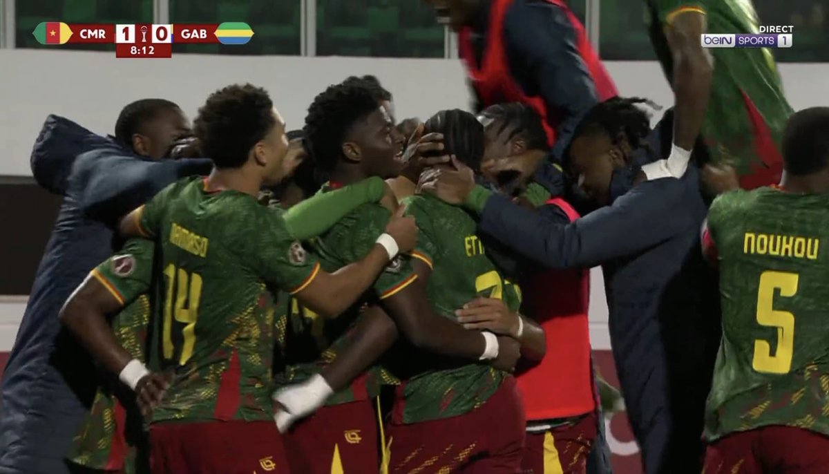 AllezLesLions tweet media