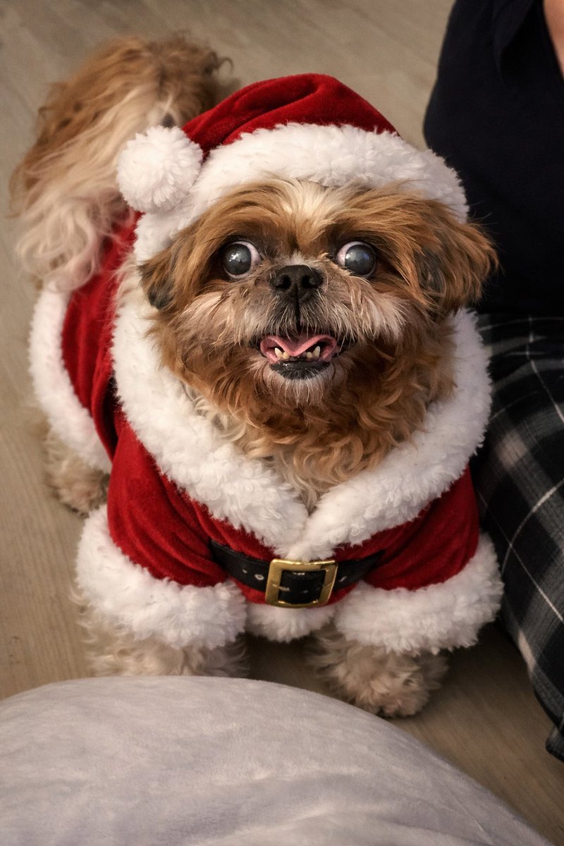 해피 크리스마스~☺️🎄