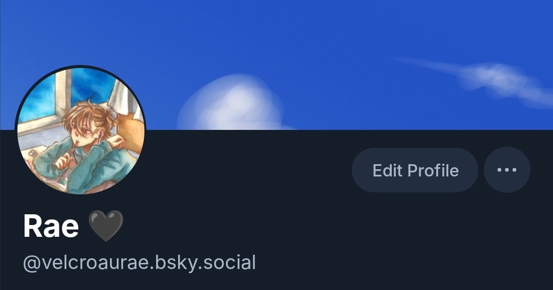 Rae 🦊 tweet media