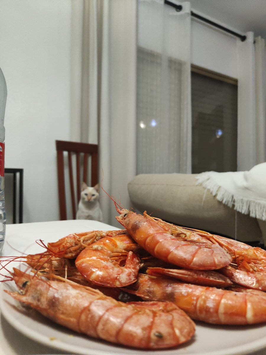 asefukit's tweet image. que miras con esa cara