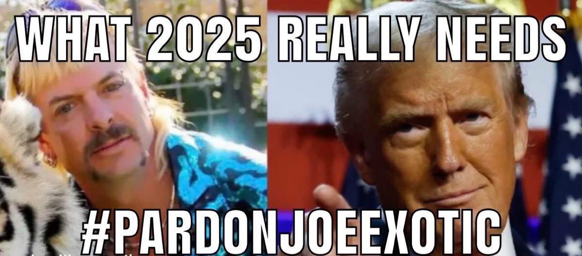 Thomas Wolf CPA tweet media