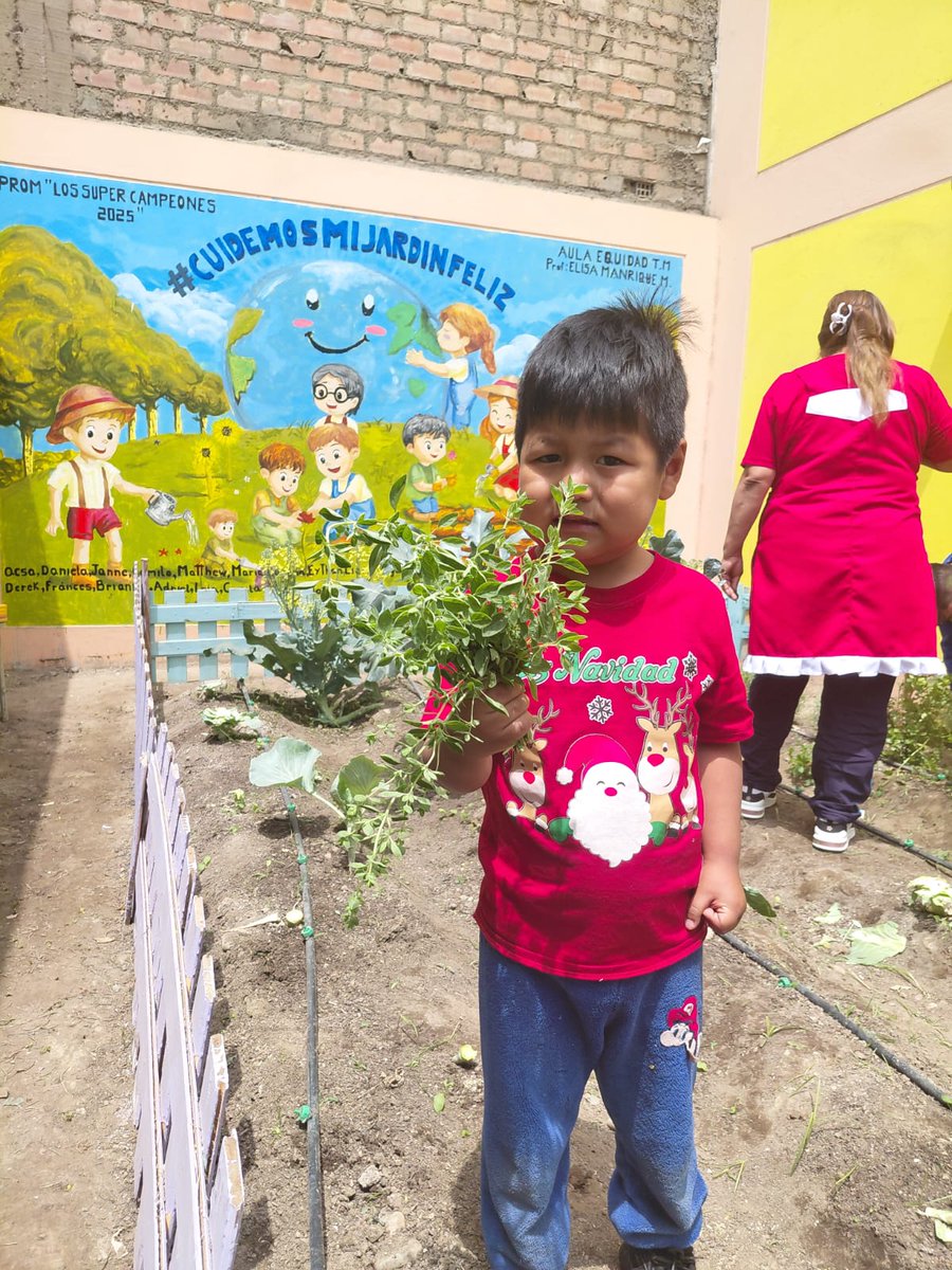Midis_PNAEC's tweet photo. ¡Cosecha feliz!
Niños de la I.E. Inicial N.º 126 de Ventanilla, recogieron de su huerto escolar, junto a sus padres y maestros, alimentos frescos como beterraga, col y brócoli que luego se prepararon como parte del piloto "Desayuno en mi Cole". #NotaDePrensa https://t.co/enLEPxeJAU