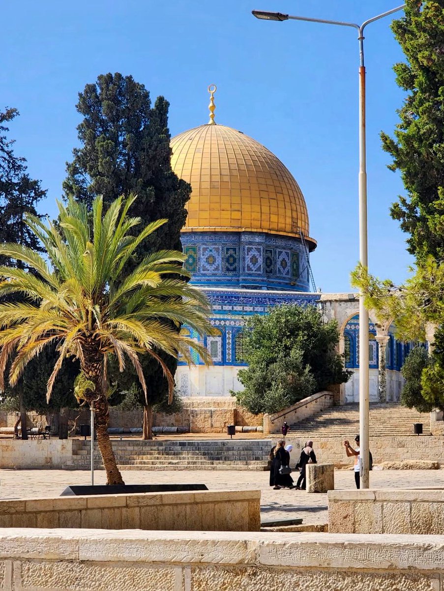 1 Ocak'ta buluşuyor muyuz Kudüs için 

Fotoğraf <a href="/pizzamiyimben/">karışık pizza🍕</a> (karışık pizza)